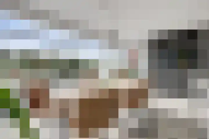 Smederij 19 Dronten thumbnail 17