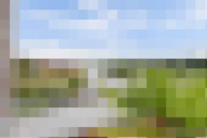 Smederij 19 Dronten thumbnail 27