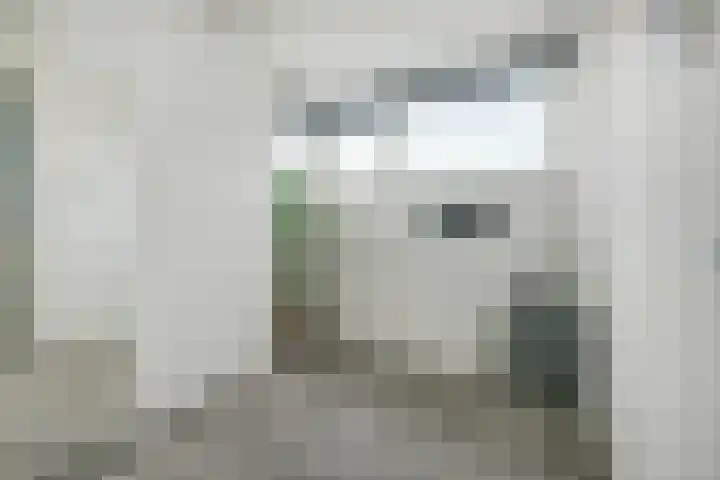 Smederij 19 Dronten thumbnail 28