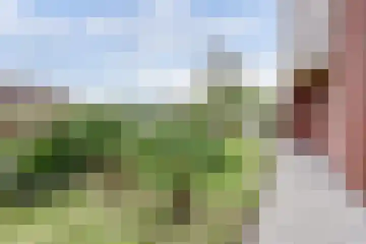 Smederij 19 Dronten thumbnail 36