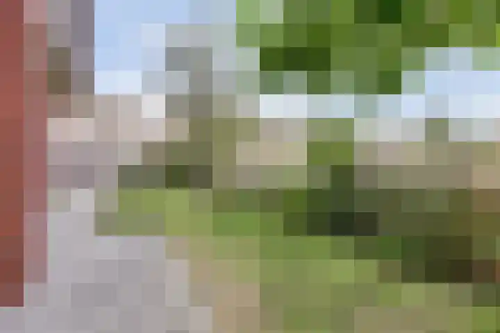 Smederij 19 Dronten thumbnail 38