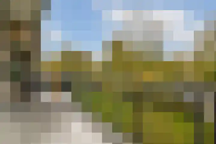 Smederij 45 Amsterdam thumbnail 11