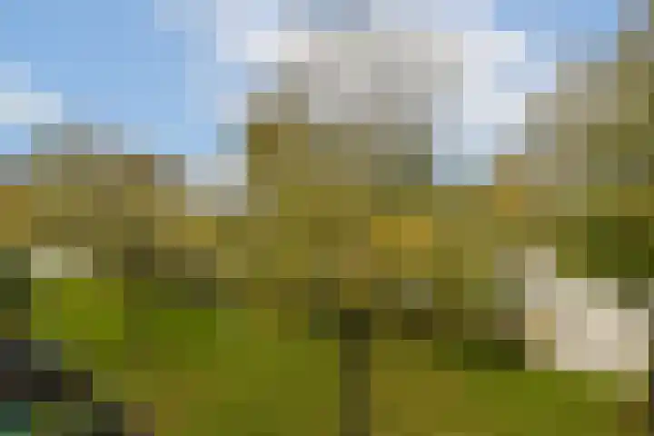 Smederij 45 Amsterdam thumbnail 12