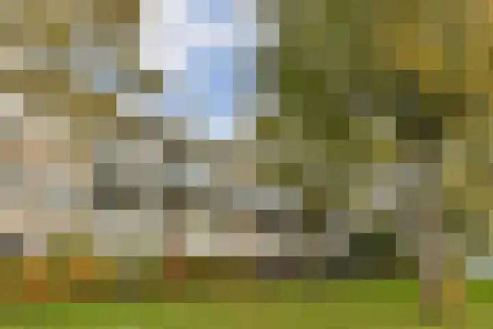 Smederij 45 Amsterdam thumbnail 20