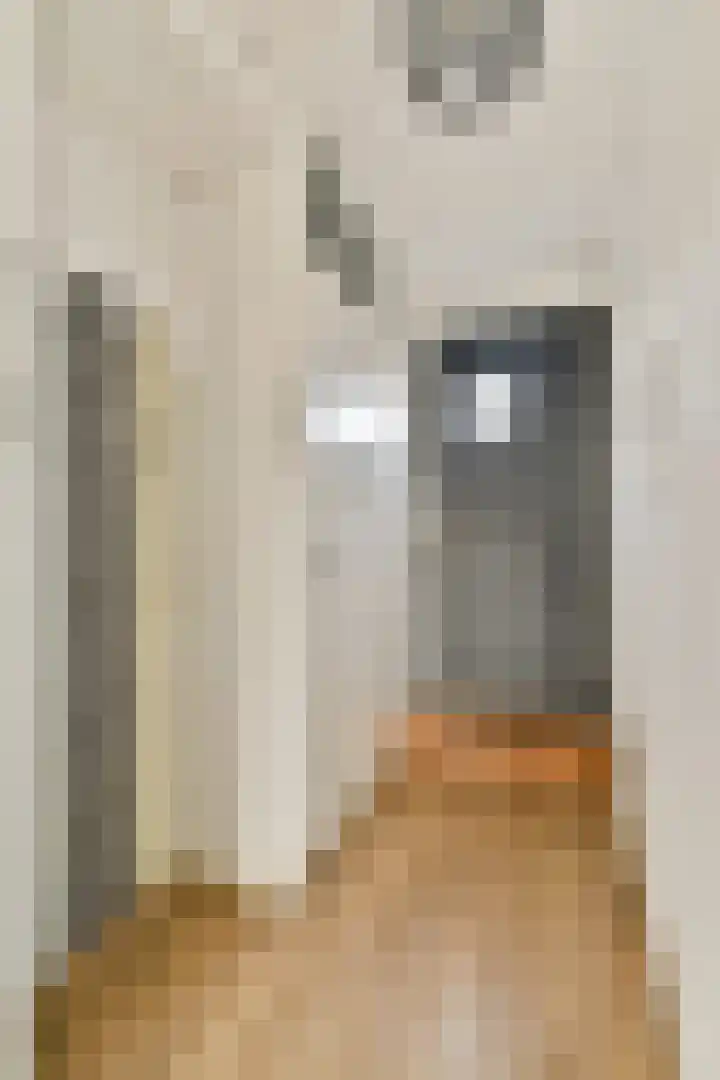 Smederij 45 Amsterdam thumbnail 5
