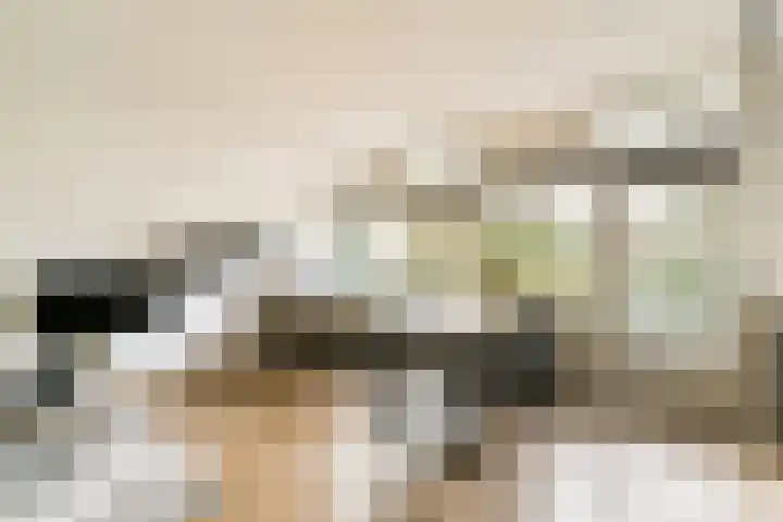 Smederij 45 Amsterdam thumbnail 7