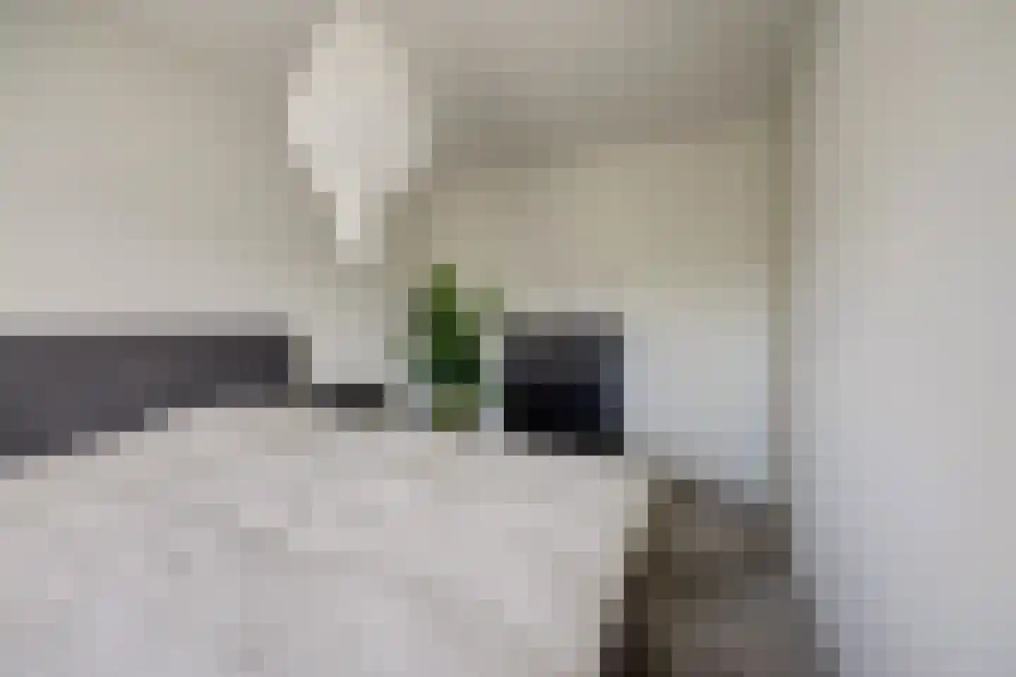 Smederij 52 Dronten thumbnail 20