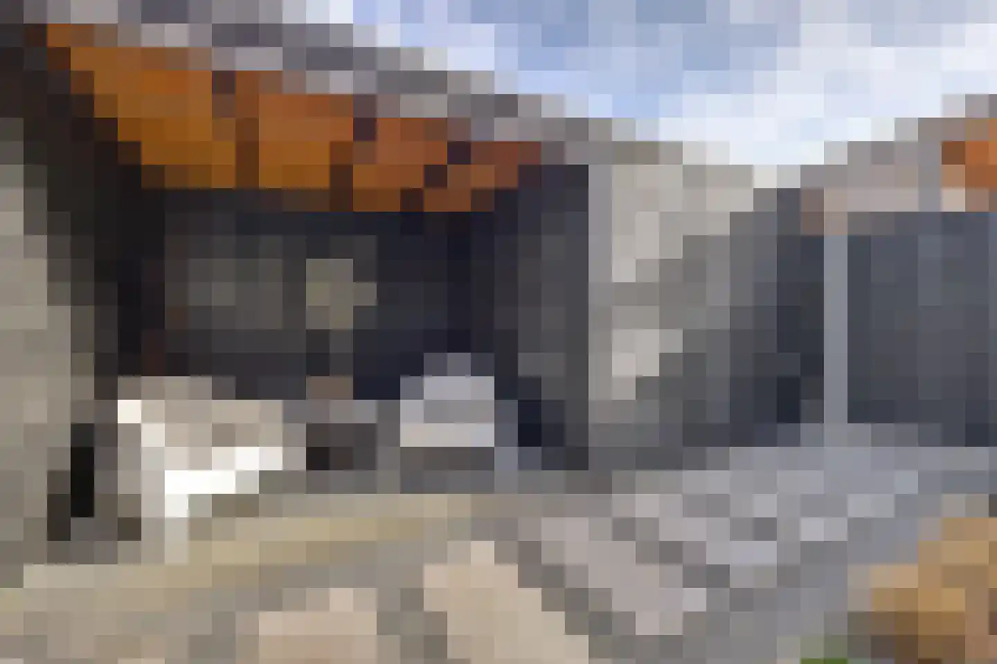 Smederij 52 Dronten thumbnail 31