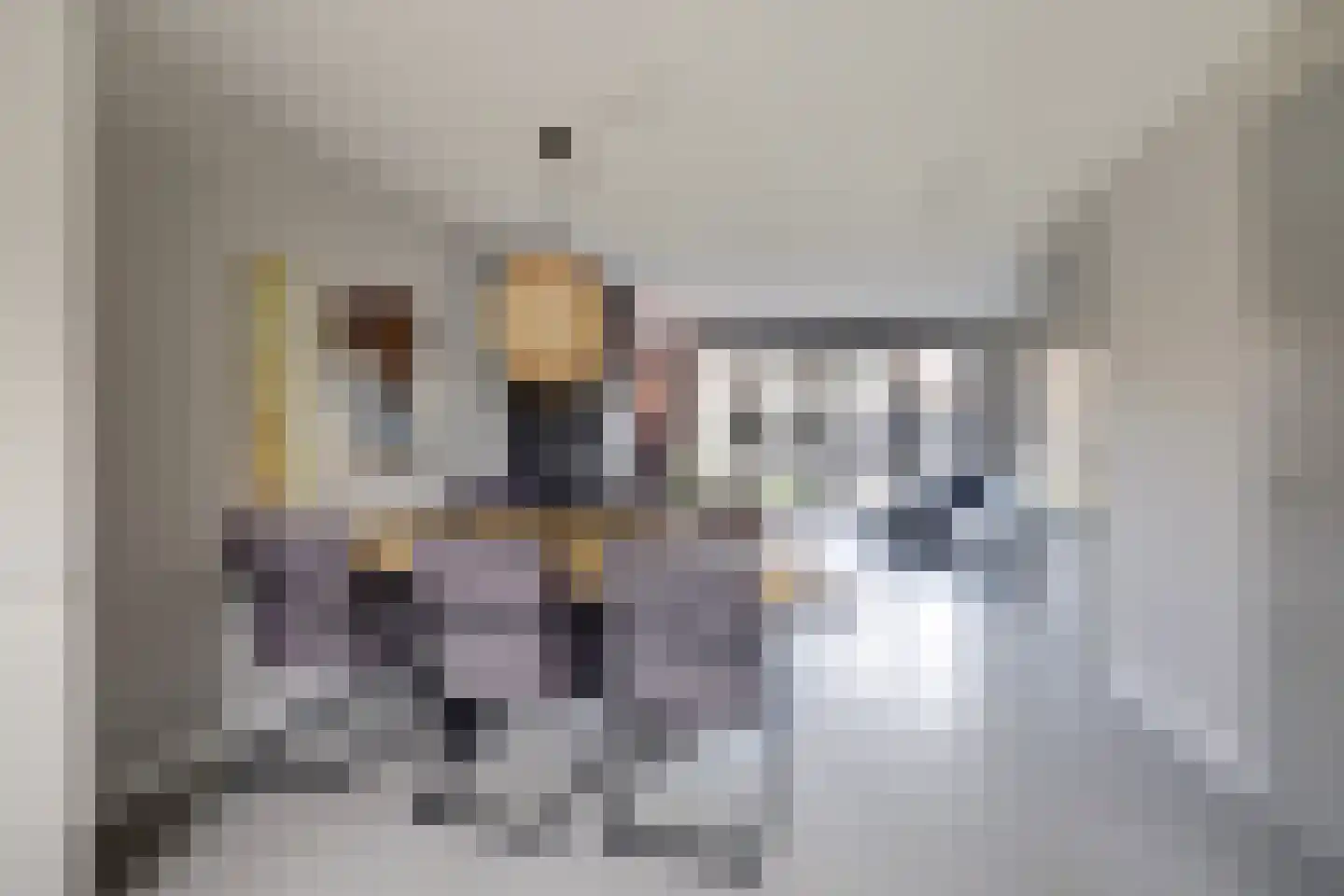 Smederij 52 Dronten thumbnail 4
