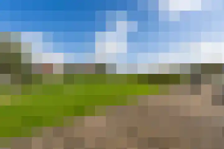 Smederij 6 Dronten thumbnail 45