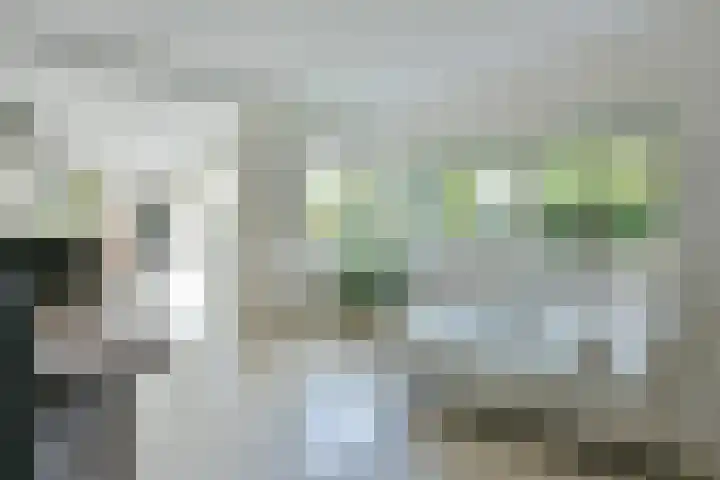 Smederij 6 Nieuwkoop thumbnail 13