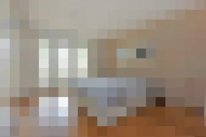 Smederij 6 Nieuwkoop thumbnail 17