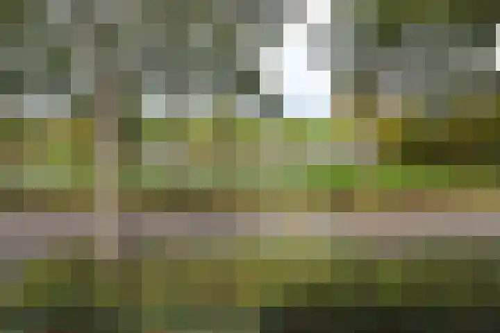 Smederij 6 Nieuwkoop thumbnail 19