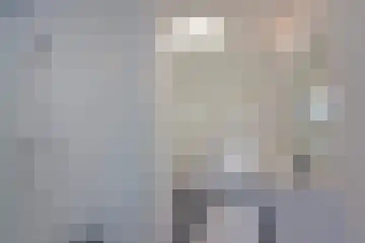 Smederij 6 Nieuwkoop thumbnail 22