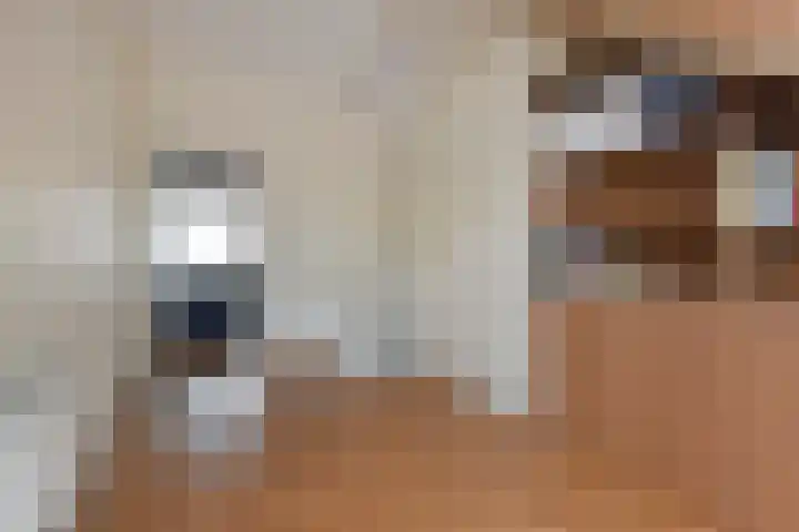 Smederij 6 Nieuwkoop thumbnail 28
