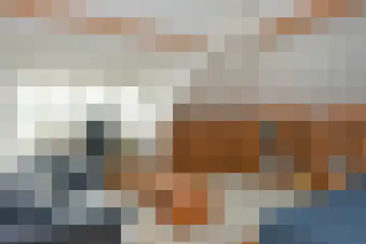 Smederij 6 Nieuwkoop thumbnail 29