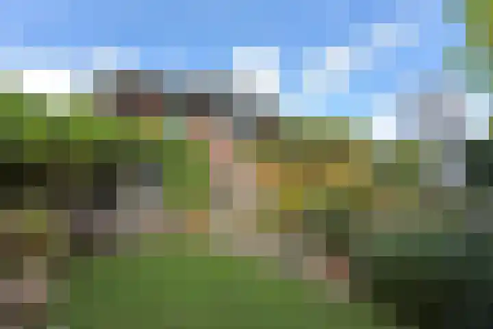 Smederij 6 Nieuwkoop thumbnail 30