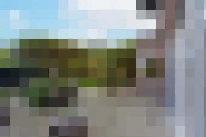 Smederij 6 Nieuwkoop thumbnail 31