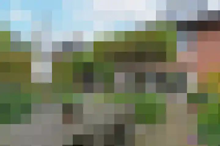 Smederij 6 Nieuwkoop thumbnail 32