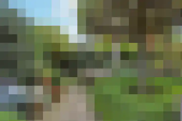Smederij 6 Nieuwkoop thumbnail 33