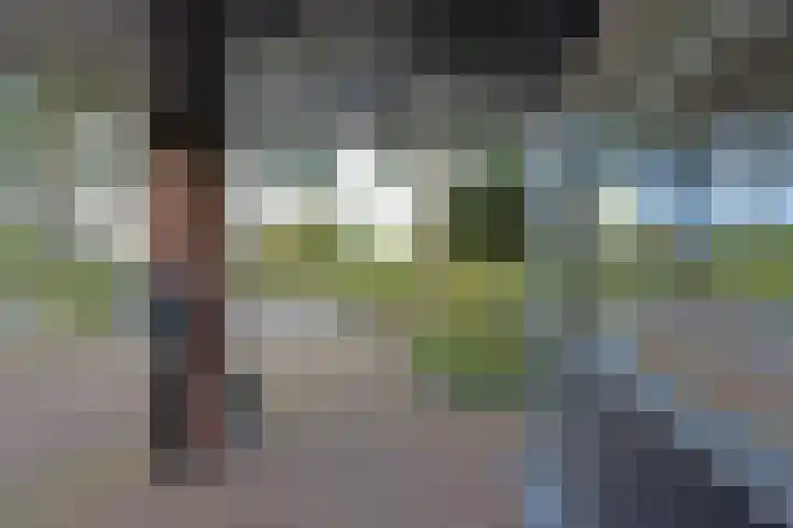 Smederij 6 Nieuwkoop thumbnail 34