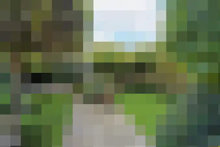 Smederij 6 Nieuwkoop thumbnail 38