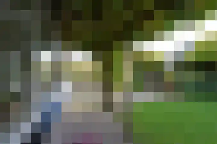 Smederij 6 Nieuwkoop thumbnail 39