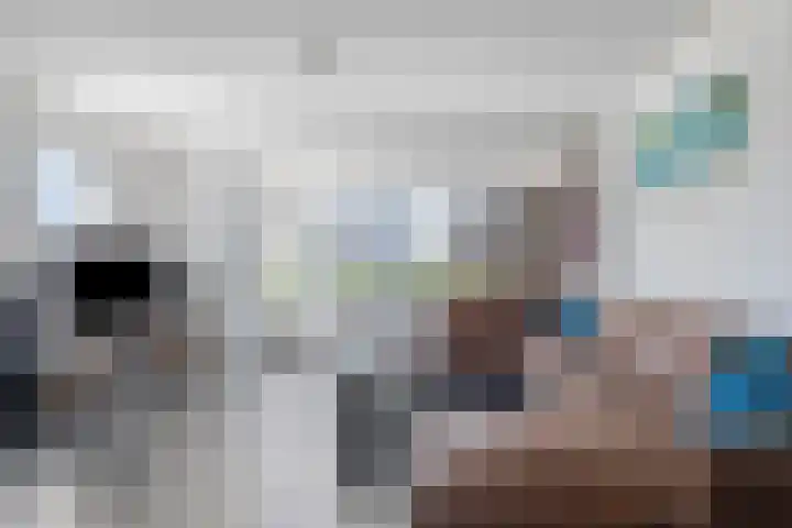 Smederij 66 Dronten thumbnail 12