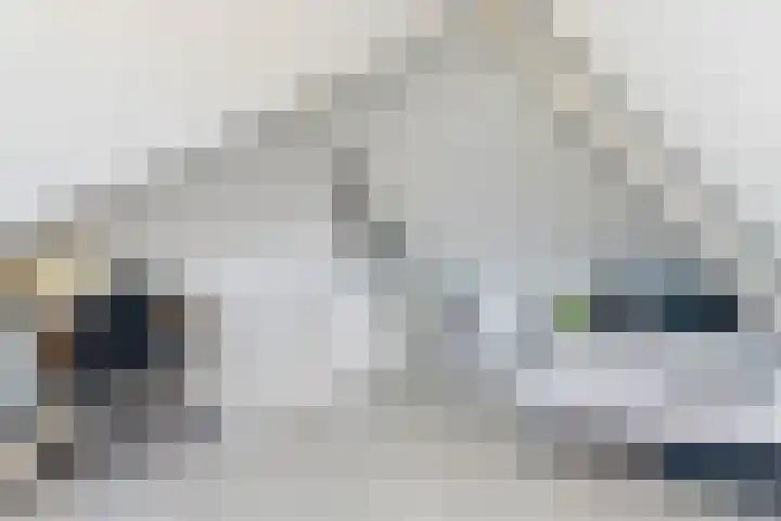 Smederij 66 Dronten thumbnail 24