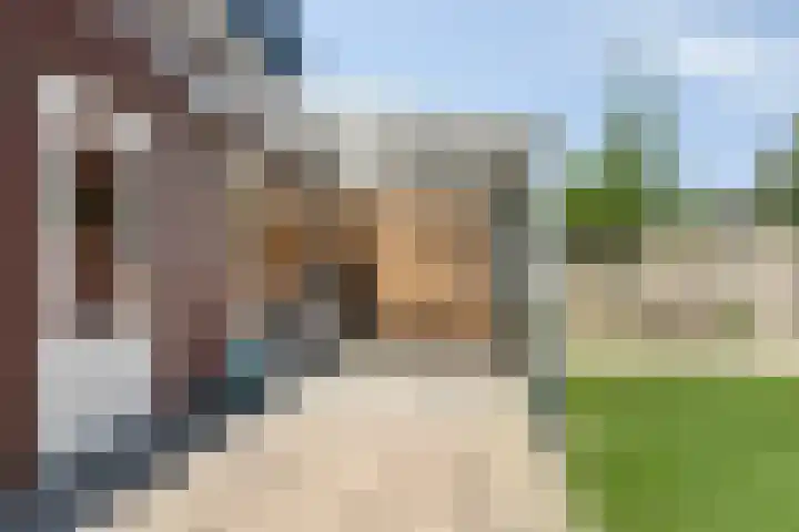 Smederij 66 Dronten thumbnail 28