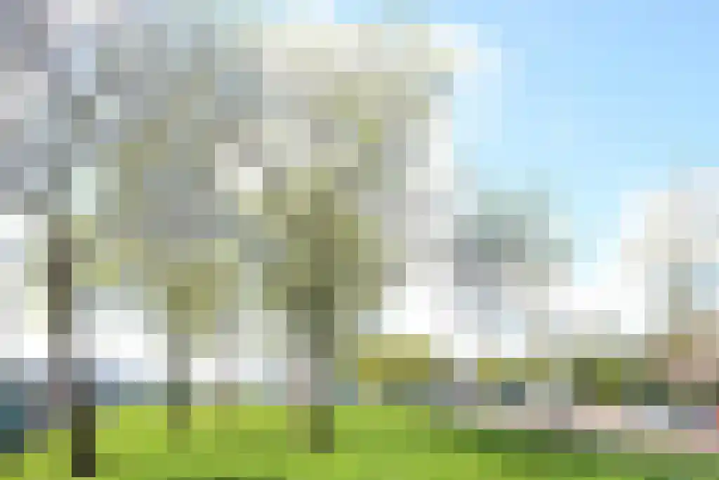 Smederij 7 Amsterdam thumbnail 22