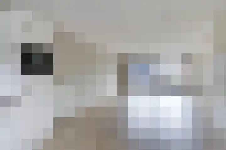 Smederij 81 Dronten thumbnail 12