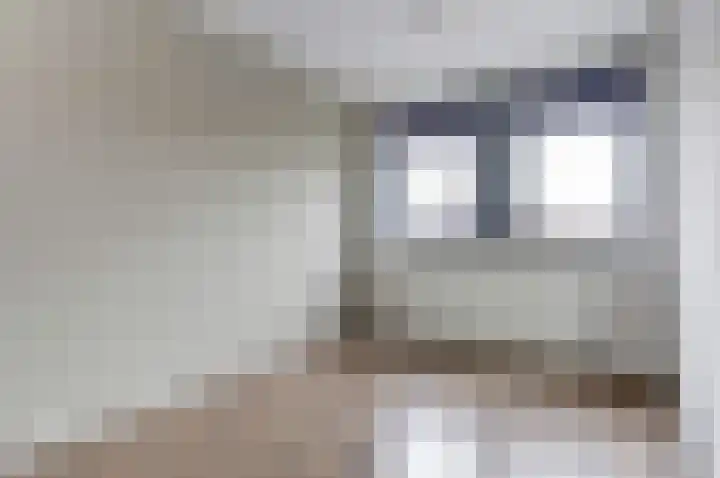 Smederij 81 Dronten thumbnail 14