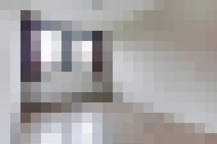 Smederij 81 Dronten thumbnail 18