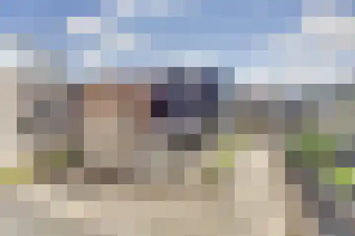 Smederij 81 Dronten thumbnail 28