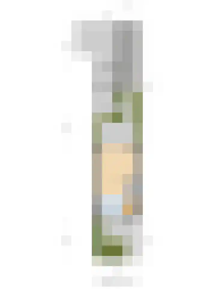 Smederij 81 Dronten thumbnail 32