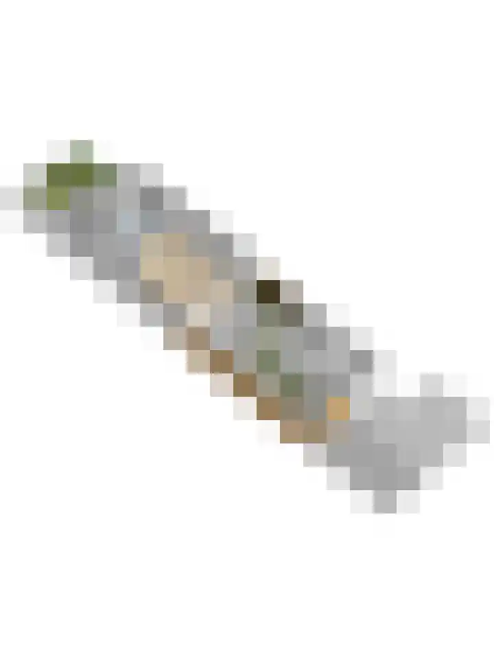 Smederij 81 Dronten thumbnail 37