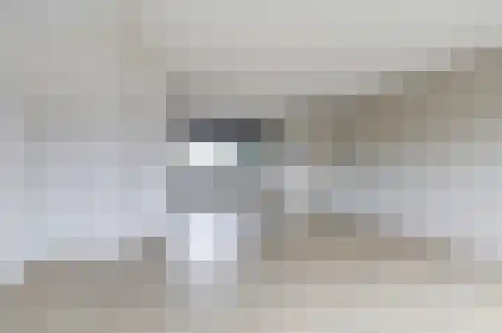 Smederij 81 Dronten thumbnail 8