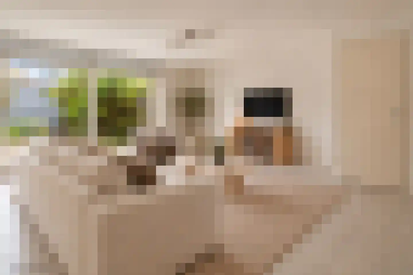 Smederijstraat 23 Leiden thumbnail 16