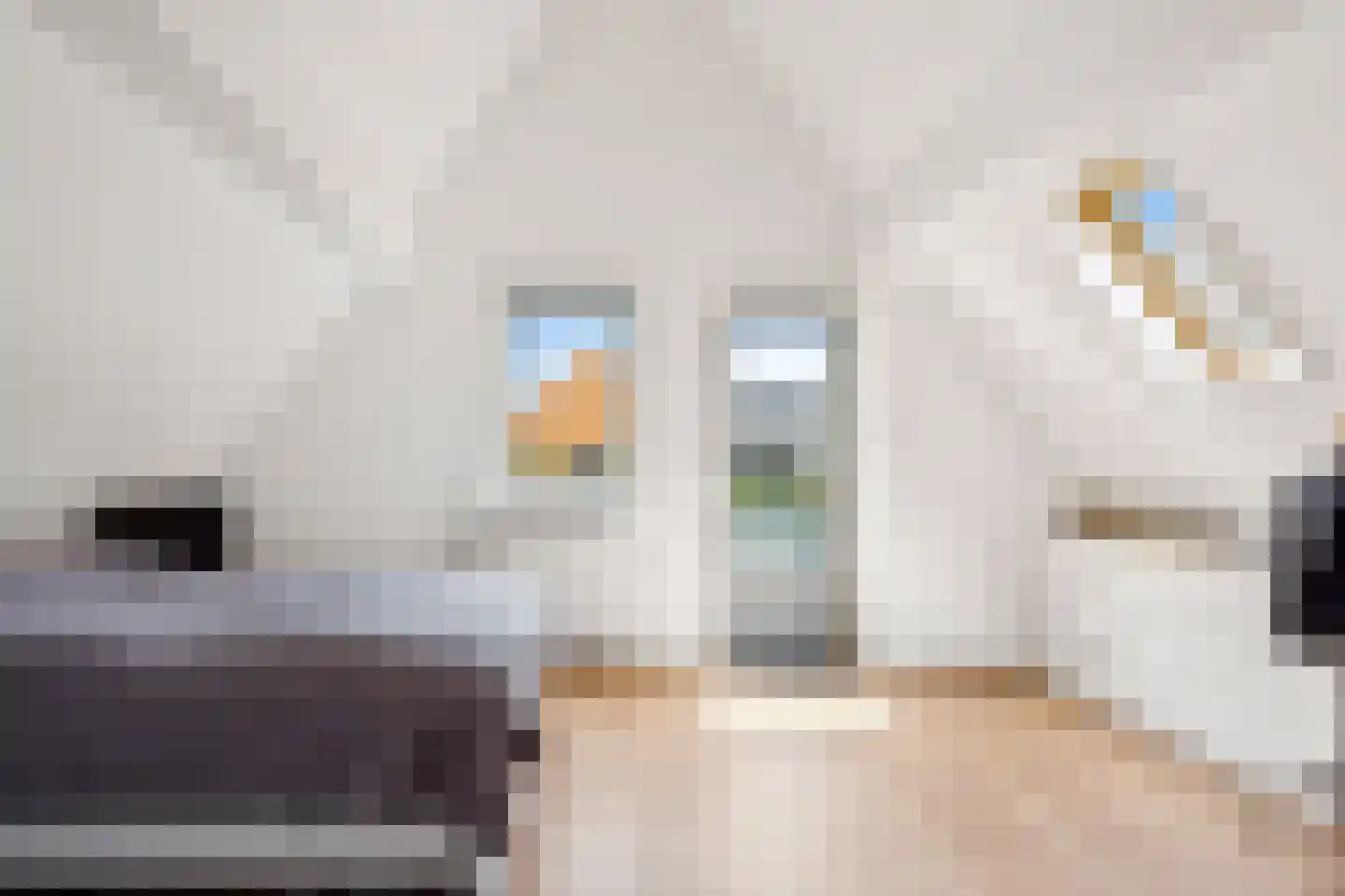 Smedestraat 9 C Elburg thumbnail 25