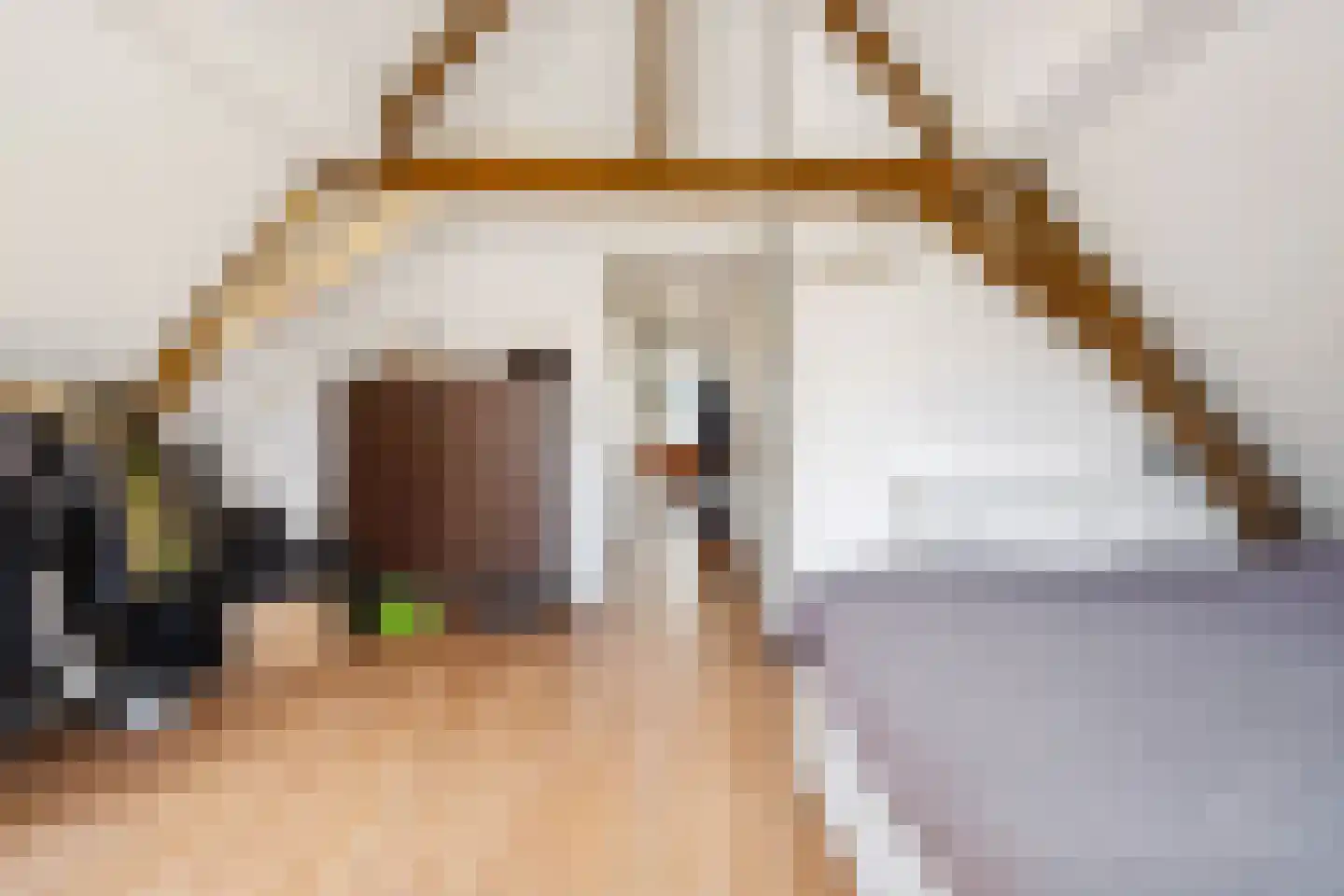 Smedestraat 9 C Elburg thumbnail 27