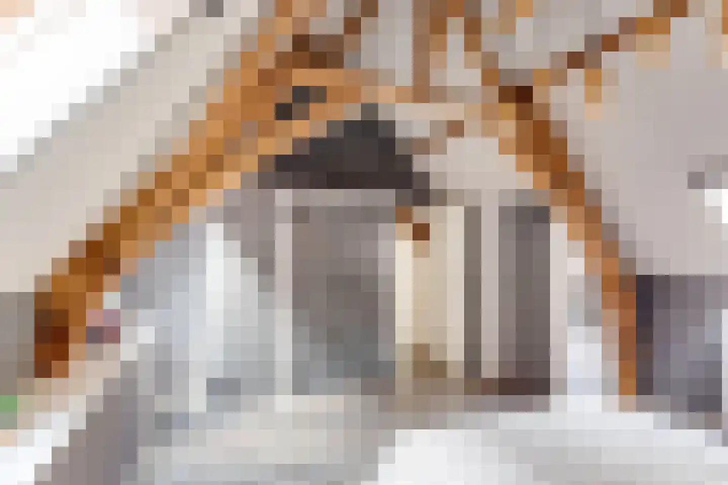 Smedestraat 9 D Elburg thumbnail 26