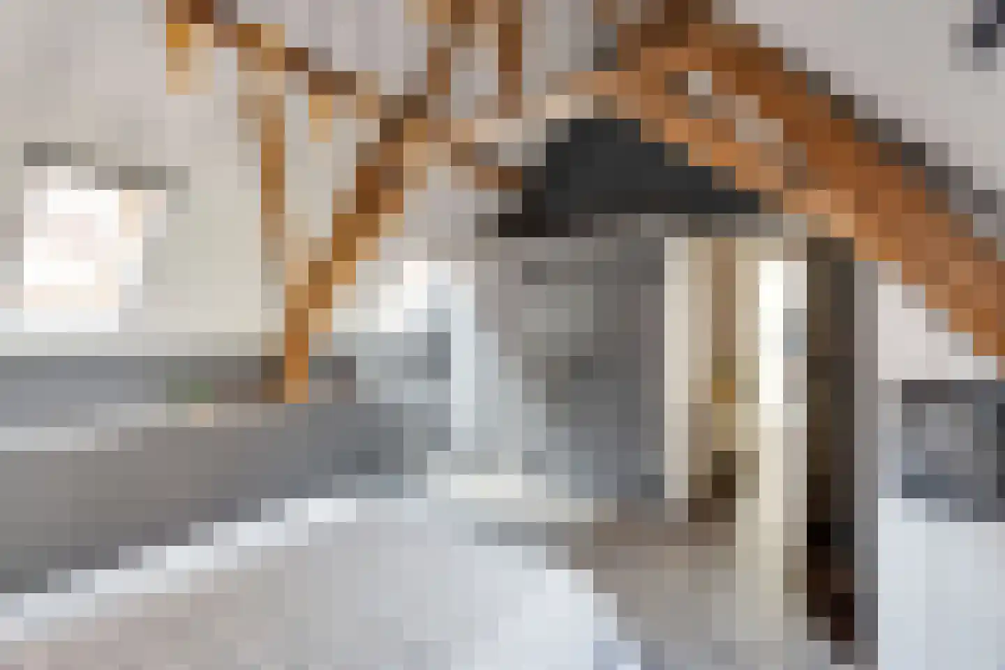Smedestraat 9 D Elburg thumbnail 28