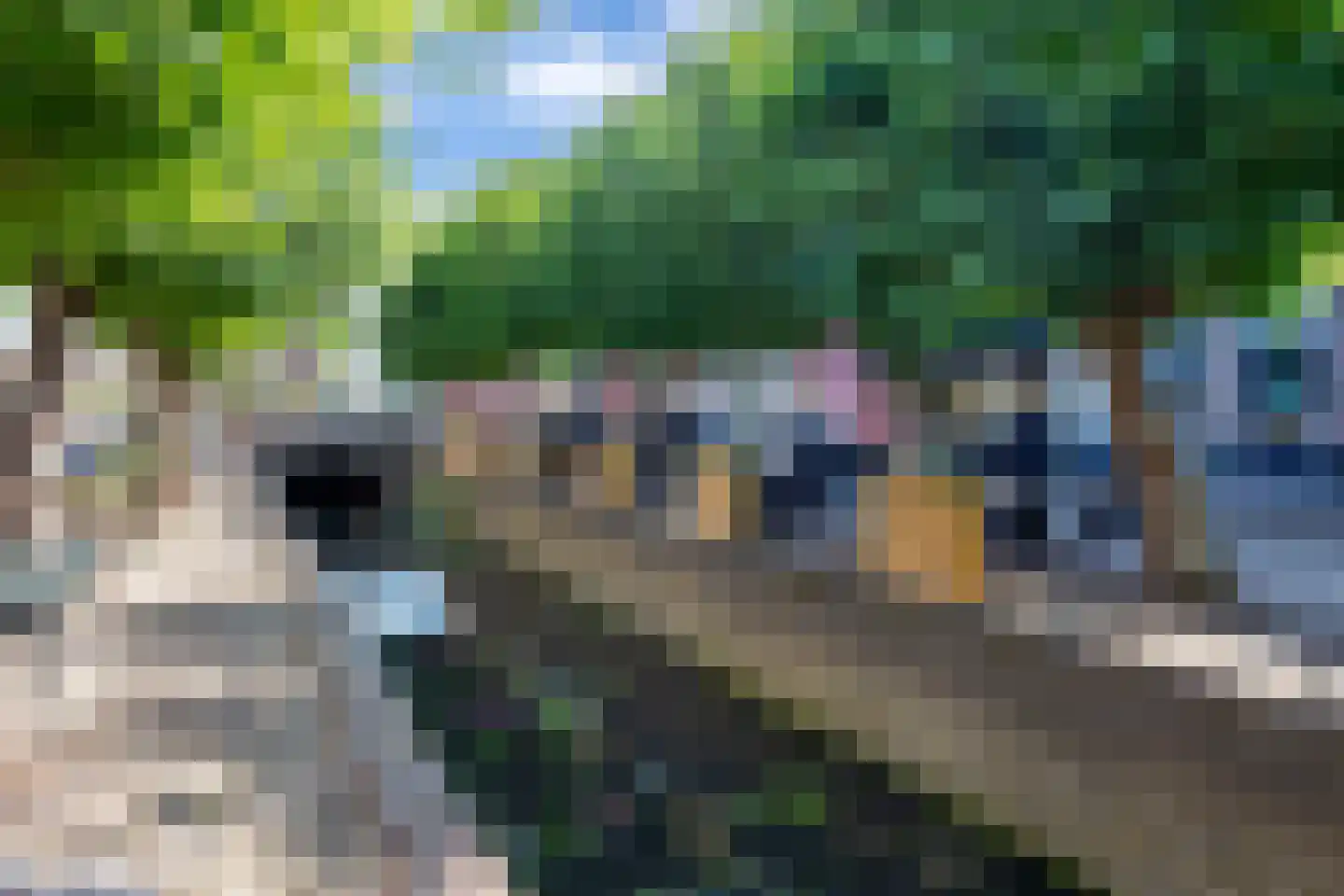 Smedestraat 9 D Elburg thumbnail 45