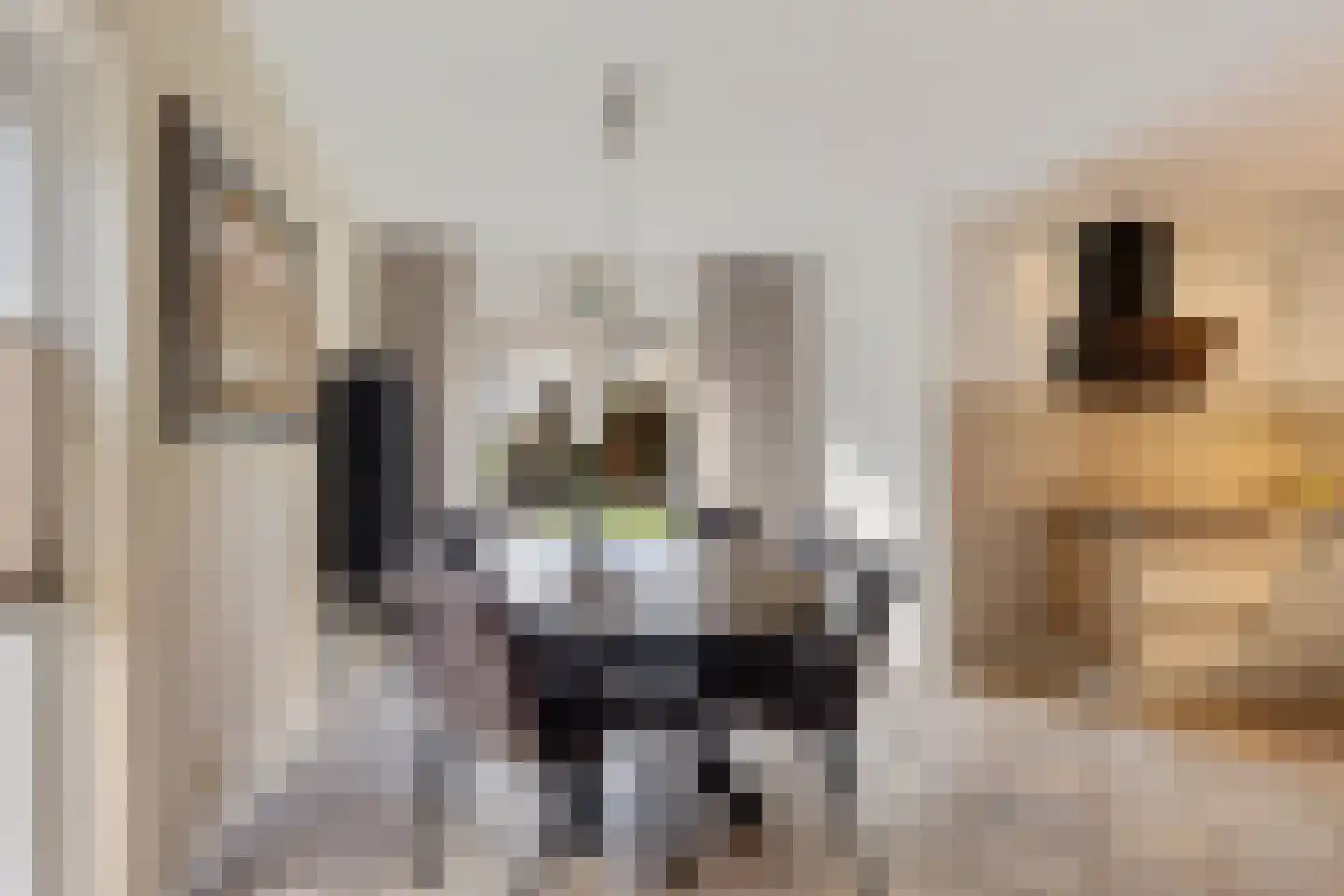 Smedinge 22 Zuidlaren thumbnail 10