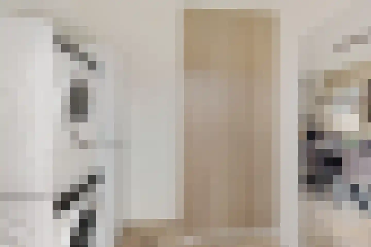 Smedinge 22 Zuidlaren thumbnail 13