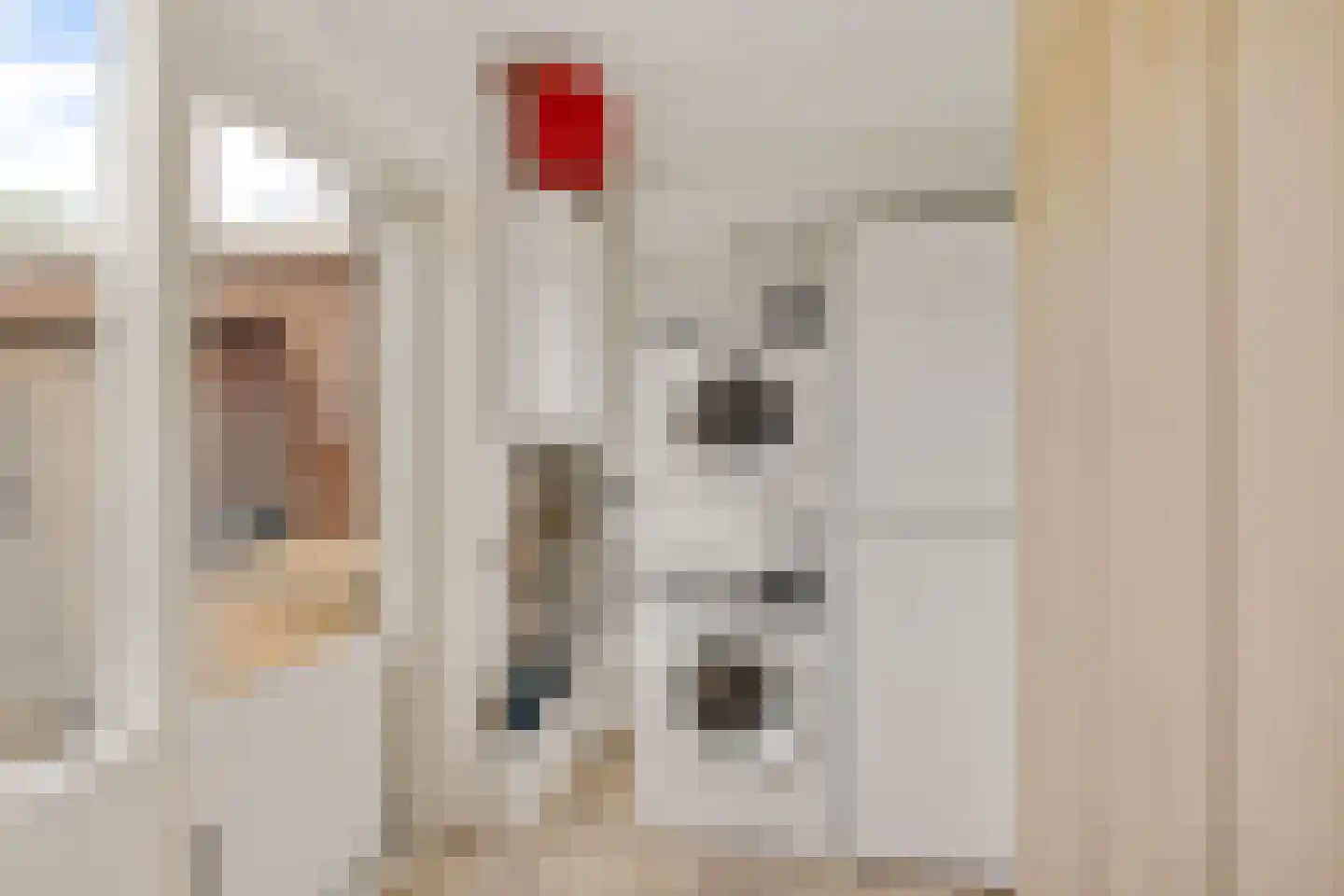 Smedinge 22 Zuidlaren thumbnail 14