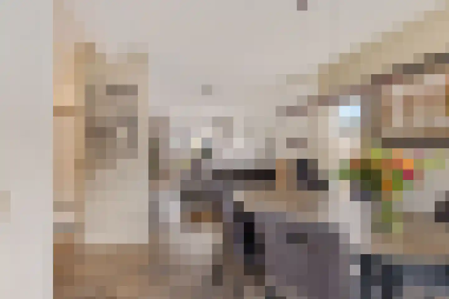 Smedinge 22 Zuidlaren thumbnail 15