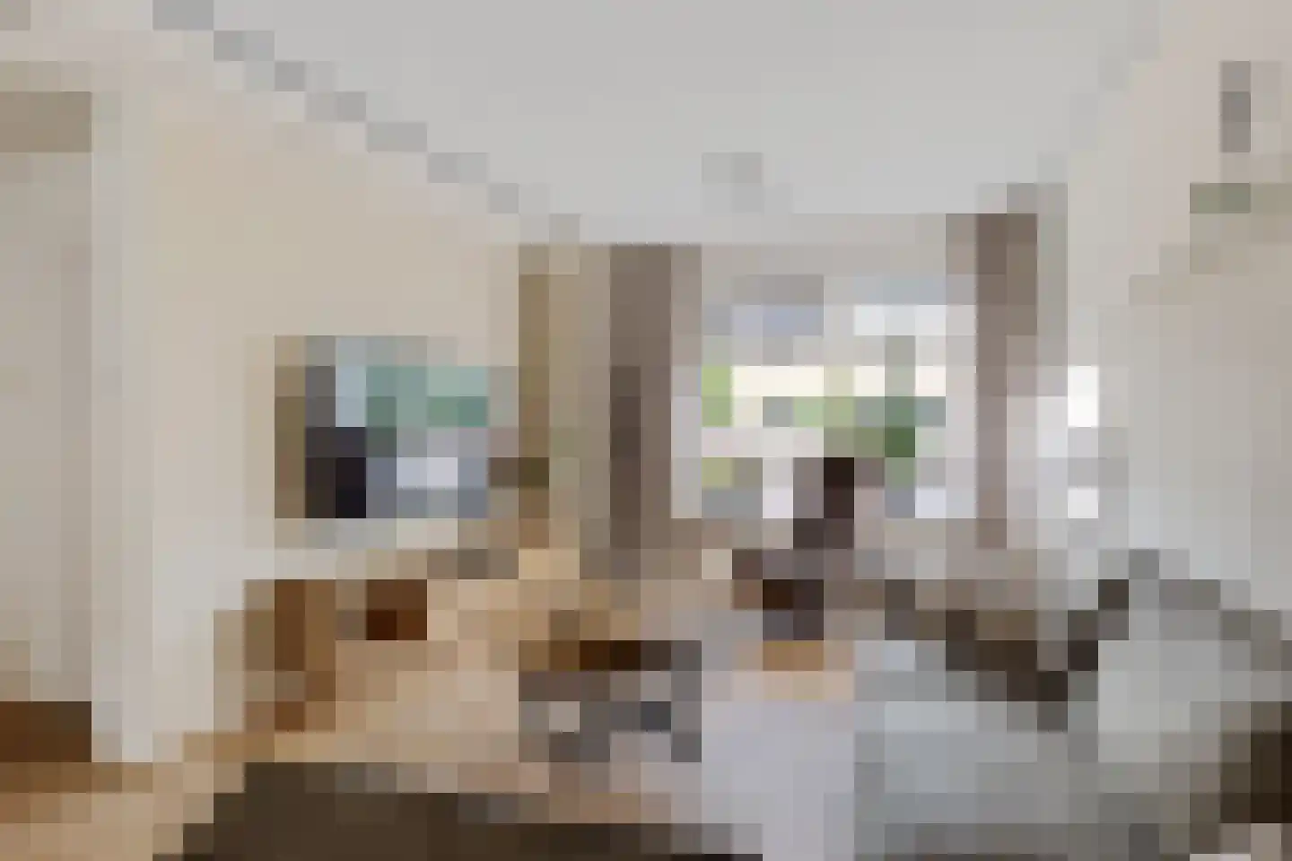 Smedinge 22 Zuidlaren thumbnail 16