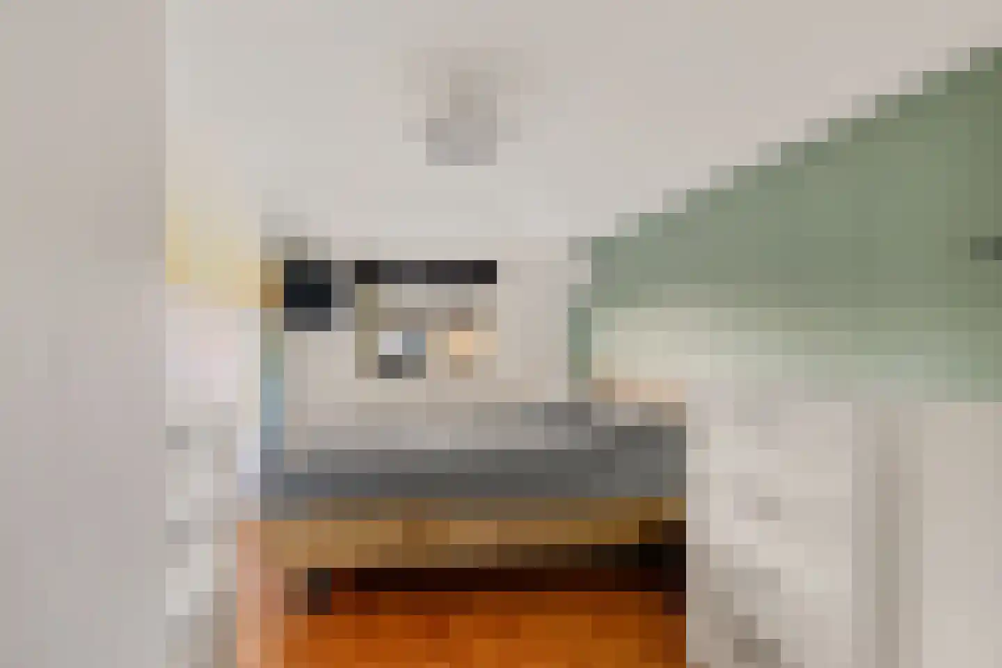 Smedinge 22 Zuidlaren thumbnail 21
